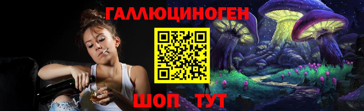Псилоцибиновые грибы GOLDEN TEACHER  Вход с VPN  Псилоцибиновые грибы GOLDEN TEACHER  Карачаевск 